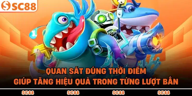 Quan sát đúng thời điểm giúp tăng hiệu quả trong từng lượt bắn