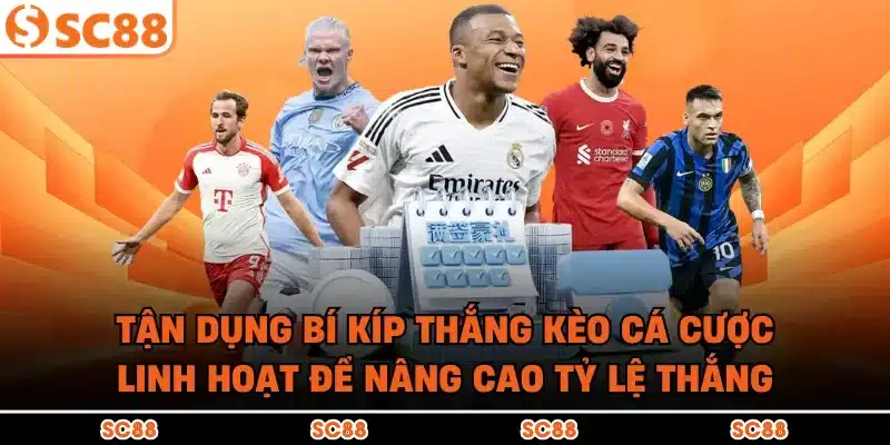 Tận dụng bí kíp thắng kèo cá cược linh hoạt để nâng cao tỷ lệ thắng